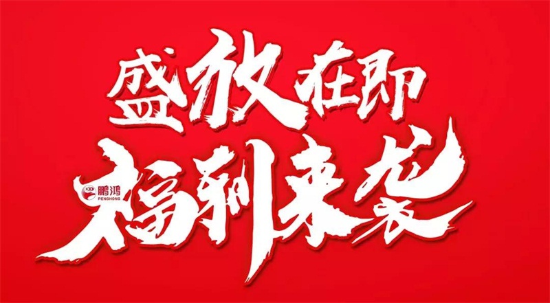 再拓疆域！鵬鴻We+定制&紅星美凱龍聯(lián)袂亮相烏魯木齊