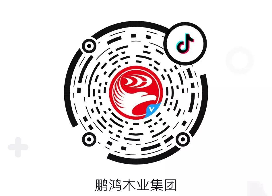 這廂有禮丨這個(gè)春節(jié)我最鴻，抖音相伴幸福年