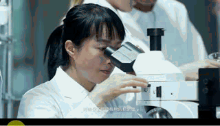 細(xì)木工板的研發(fā)